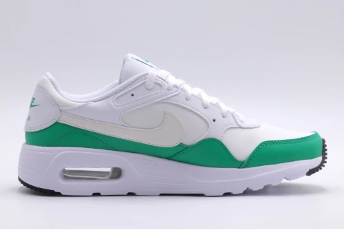 Nike Air Max Sc Sneakers (CW4555 110)
