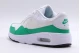 Nike Air Max Sc Sneakers (CW4555 110)