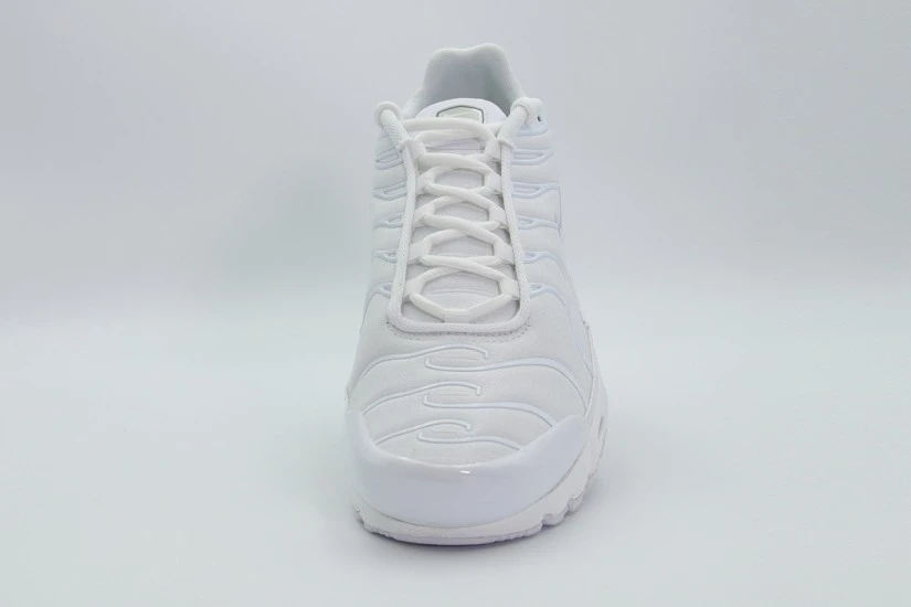 Nike Air Max Plus Sneakers Λευκά