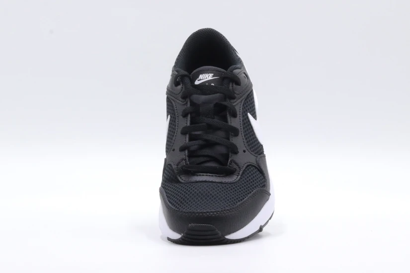 Nike Air Max Sc Gs Sneakers (CZ5358 002)