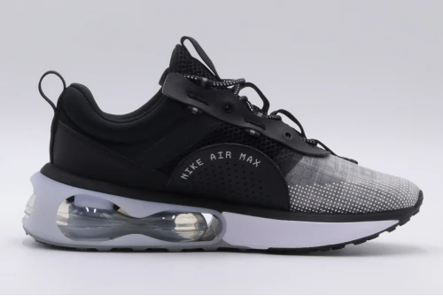Nike Wmns Air Max 2021 Sneakers (DA1923 001)