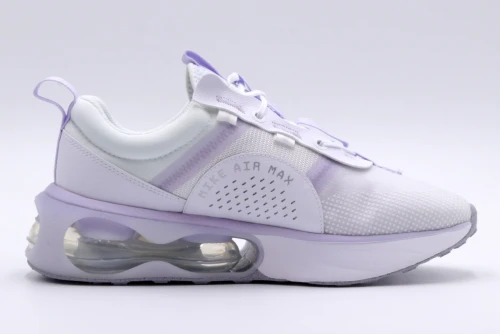 Nike Air Max 2021 Gs (DA3199 100)