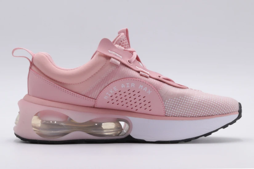 Nike Air Max 2021 Gs (DA3199 600)