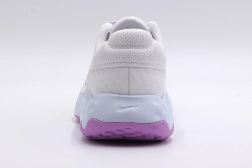 Nike W Renew Ride 3 Παπούτσια Για Τρέξιμο-Περπάτημα (DC8184 102)