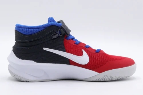 Nike Team Hustle D 10 Flyease Gs Αθλητικά Παπούτσια Για Μπάσκετ (DD7303 005)