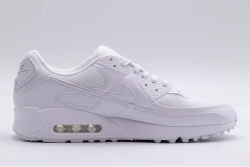 Nike Air Max 90 Sneakers (DH8010 100)