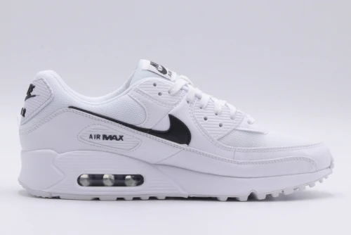 Nike Air Max 90 Sneakers (DH8010 101)