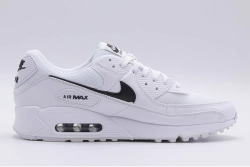 Nike Air Max 90 Sneakers (DH8010 101)