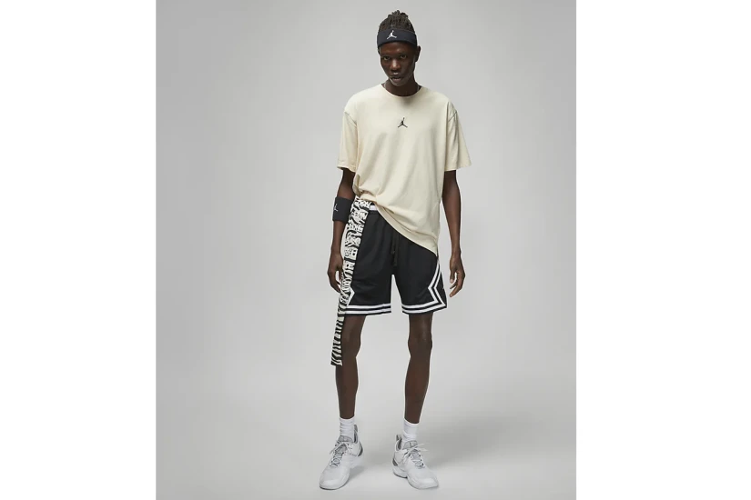 Jordan T-Shirt Ανδρικό (DH8920 219)