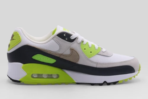 Nike Air Max 90 Sneakers (DM0029 107)