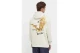 Tommy Jeans Tjm Rlx Vintage Eagle Hoodie Ανδρικό (DM0DM17812 ACG)