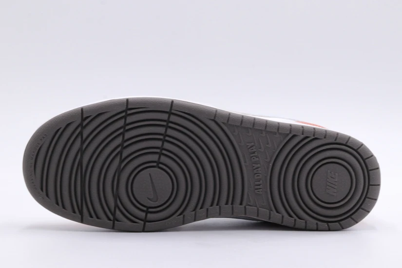 Nike Court Borough Low 2 Se1 Gs Sneakers (DM1216 100)
