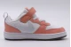 Nike Court Borough Low 2 Se1 Tdv Sneaker (DM1218 100)