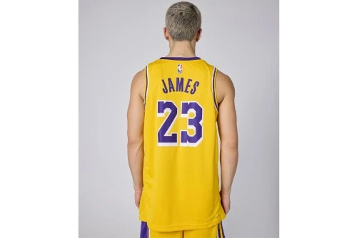 Nike Nba Lebron James Los Angeles Lakers Φανέλα Ομάδας (DN2009 733)