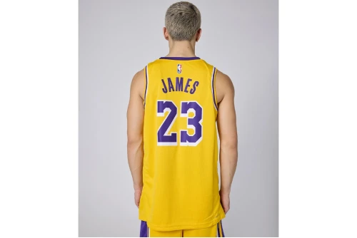 Nike Nba Lebron James Los Angeles Lakers Φανέλα Ομάδας (DN2009 733)
