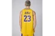 Nike Dri-FIT NBA Lebron James Los Angeles Lakers Icon Edition Ανδρική Μπασκετική Φανέλα Κίτρινη, Μωβ