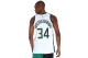 Nike Dri-FIT NBA Giannis Antetokounmpo Milwaukee Bucks Association Edition Ανδρική Μπασκετική Φανέλα Λευκή, Πράσινη