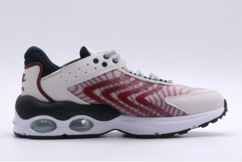 Nike Air Max Tw Gs Sneakers (DQ0296 005)
