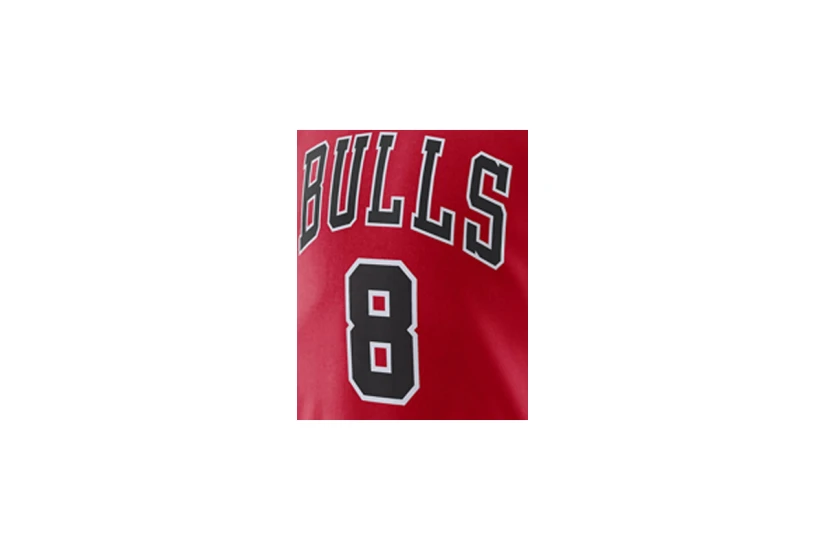 Nike Nba Chicago Bulls Zach Lavine T-Shirt Ανδρικό (DR6367 660)