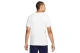 Nike Dri-Fit Giannis (DR7645 133)