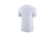 Jordan T-Shirt Ανδρικό (DV5720 100)