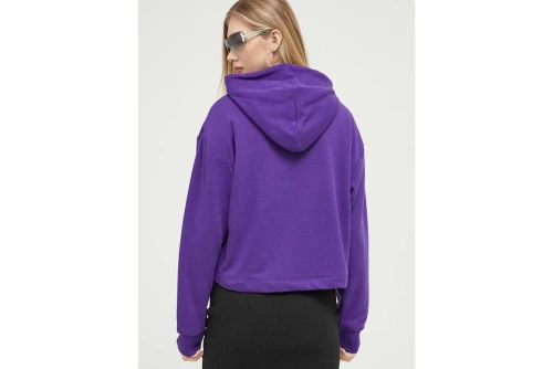 Tommy Jeans Tjw Rlx Essential Logo 2 Hoodie Γυναικείο (DW0DW16141 VML)