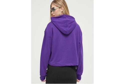 Tommy Jeans Tjw Rlx Essential Logo 2 Hoodie Γυναικείο (DW0DW16141 VML)