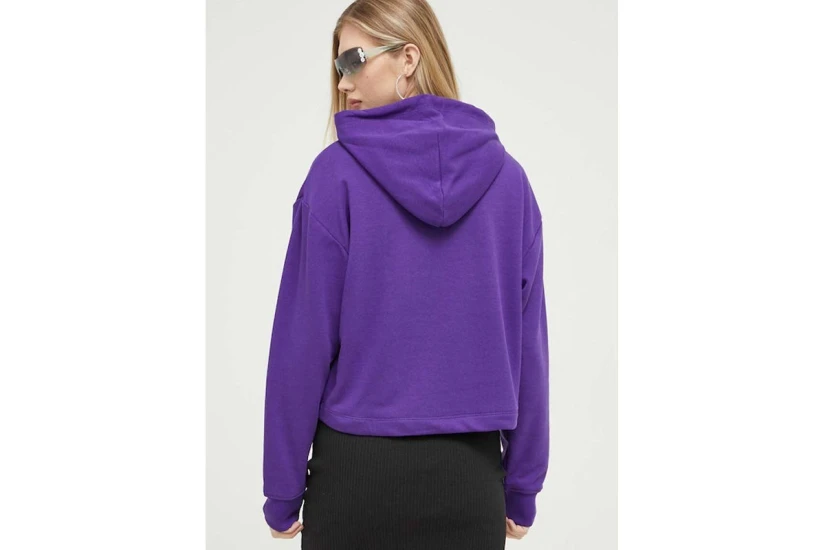 Tommy Jeans Tjw Rlx Essential Logo 2 Hoodie Γυναικείο (DW0DW16141 VML)