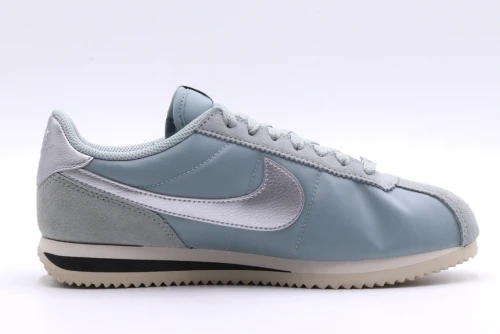 Nike Cortez Sneakers (DZ2795 002)