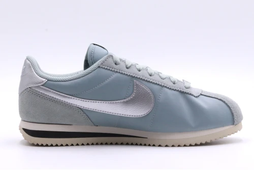 Nike Cortez Sneakers (DZ2795 002)