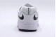 Nike Sb Ishod Prm L Sneakers (DZ5648 101)