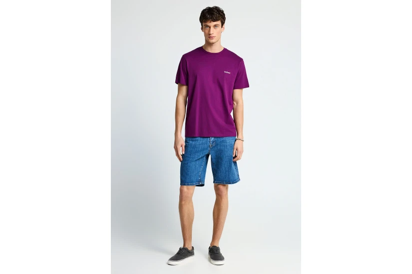 Funky Buddha The Basics Collection Ανδρικό Κοντομάνικο T-Shirt Μωβ