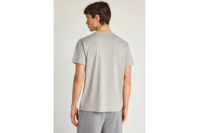 Funky Buddha The Basics Collection Ανδρικό Κοντομάνικο T-Shirt Γκρι
