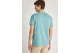 Funky Buddha The Essentials Ανδρικό Κοντομάνικο T-Shirt Άκουα