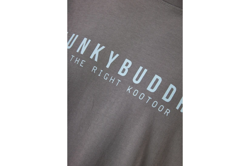 Funky Buddha Ανδρικό Κοντομάνικο T-Shirt Γκρι
