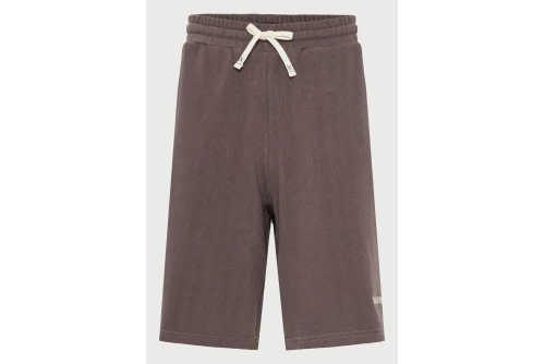 Funky Buddha Printed Logo Βερμούδα Αθλητική Ανδρική (FBM013-062-03-MOON-MIST)