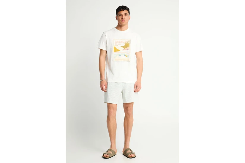 Funky Buddha Ανδρικό Κοντομάνικο T-Shirt Εκρού, Διάφορα Χρώματα