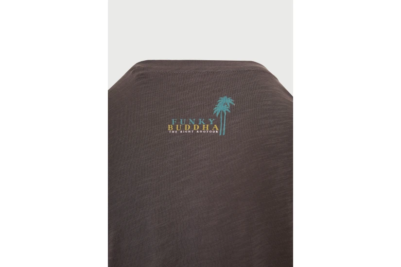 Funky Buddha Ανδρικό Κοντομάνικο T-Shirt Καφέ