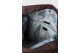 Funky Buddha Ανδρικό Backpack Καφέ, Μαύρο
