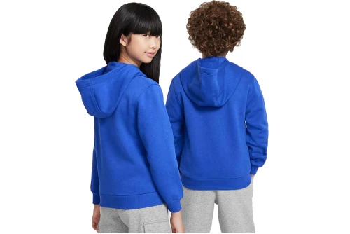 Nike Sportswear Club Fleece Hoodie (FD3000 480)