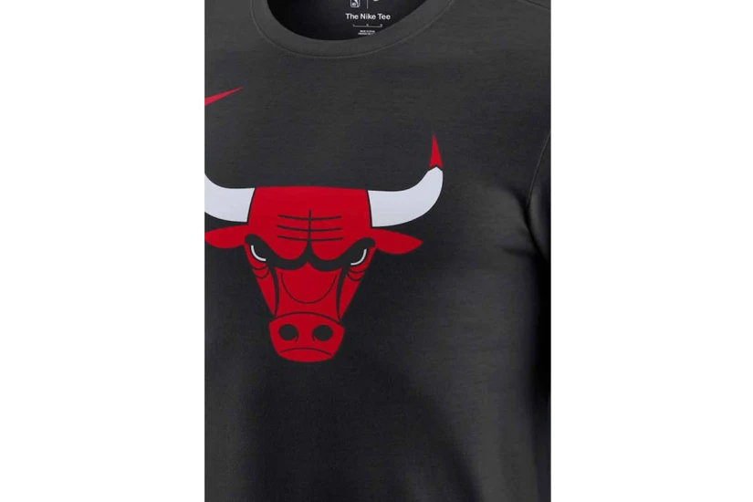 Nike NBA Essential Chicago Bulls Ανδρικό Κοντομάνικο T-Shirt Μαύρο