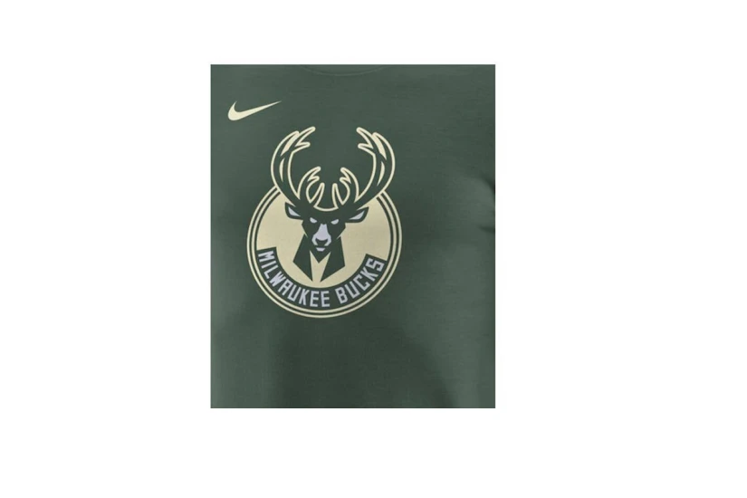 Nike Essential Milwaukee Bucks Ανδρικό Κοντομάνικο T-Shirt Πράσινο