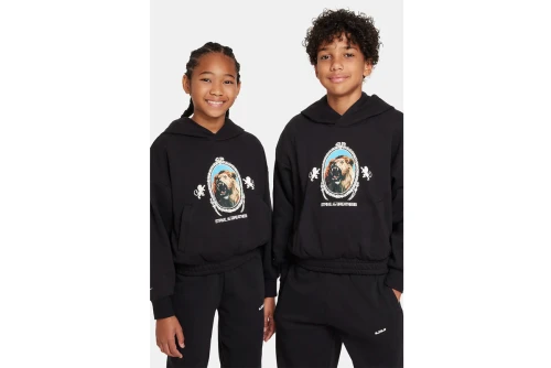 Nike Hoodie (FJ6065 010)