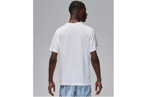 Jordan Sport Dri-Fit T-Shirt Ανδρικό (FN5829 100)