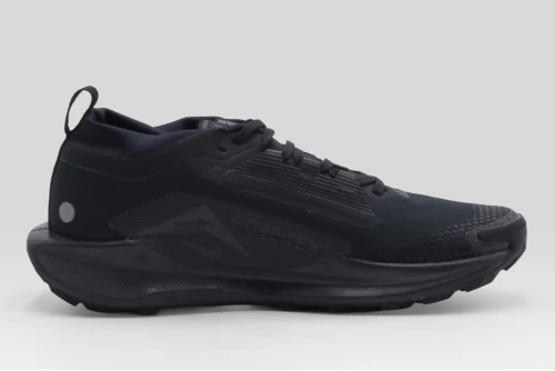 Nike Pegasus Trail 5 Gore-Tex Αθλητικά Παπούτσια Trail Running (FQ0908 002)
