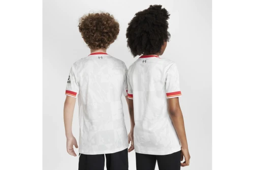 Nike Liverpool F.c. 2024-25 Stadium Third Φανέλα Ομάδας (FQ2253 101)