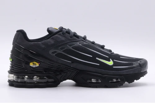 Nike Air Max Plus Iii Sneakers (FQ2387 001)