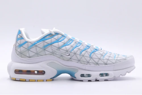 Nike Air Max Plus Sneakers (FQ2397 100)
