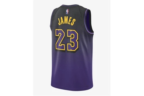 Nike Nba Lebron James Los Angeles Lakers 24-25 Φανέλα Ομάδας (FQ4346 504)