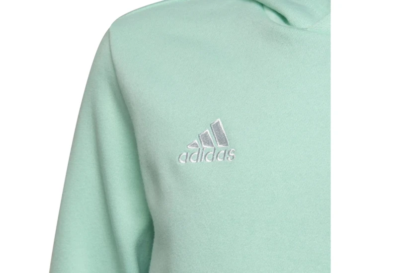 Adidas Performance Ent22 Hoody Y (HC5066)